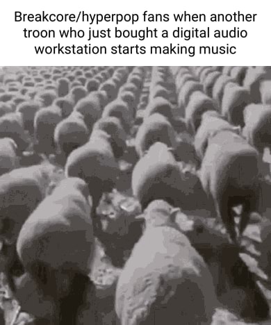 Fans when another troon who just bought a digital audio workstation starts making music - iFunny