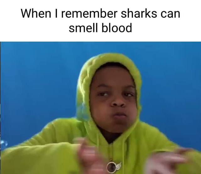 When I remember sharks can smell blood iFunny