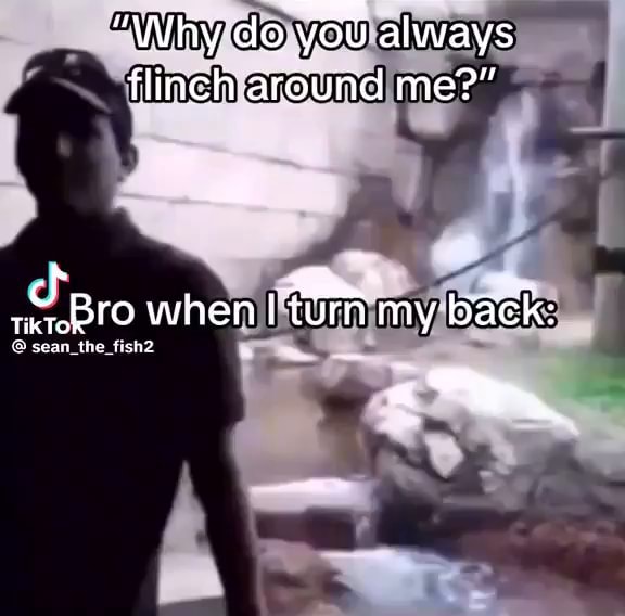"Why do you always flinch around me?" cf tereeRro when I turn my back sean _the, fish2 iFunny