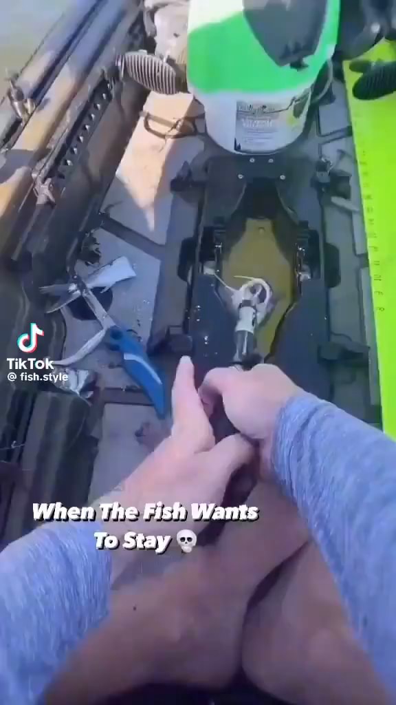 TikTok Fish atyle When The Fish Wants To Stay iFunny