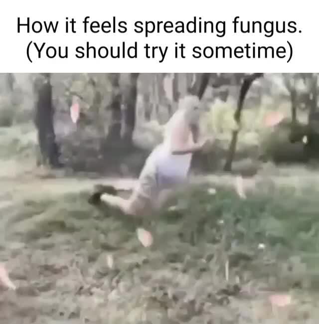 How it feels spreading fungus. (You should try it sometime) iFunny
