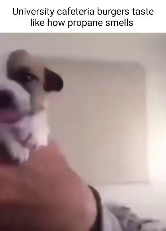 University cafeteria burgers taste like how propane smells iFunny