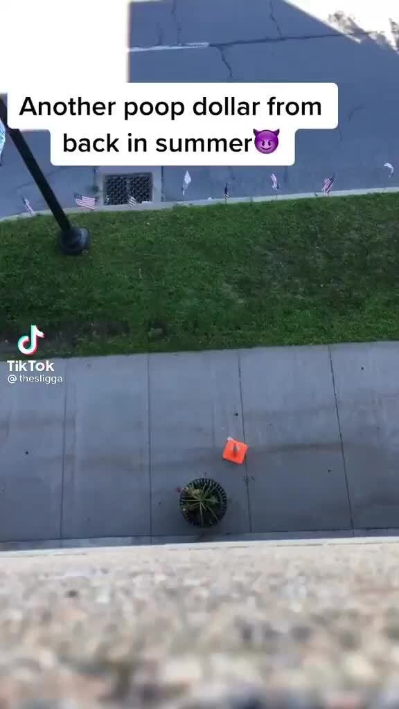 Another poop dollar from I back in summerB ge i TikTok iFunny