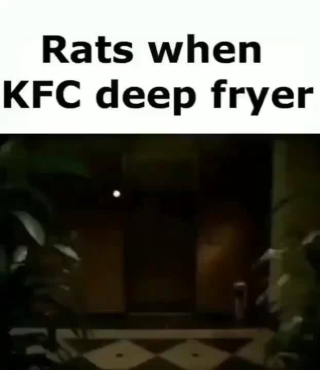 Rats when KFC deep fryer iFunny