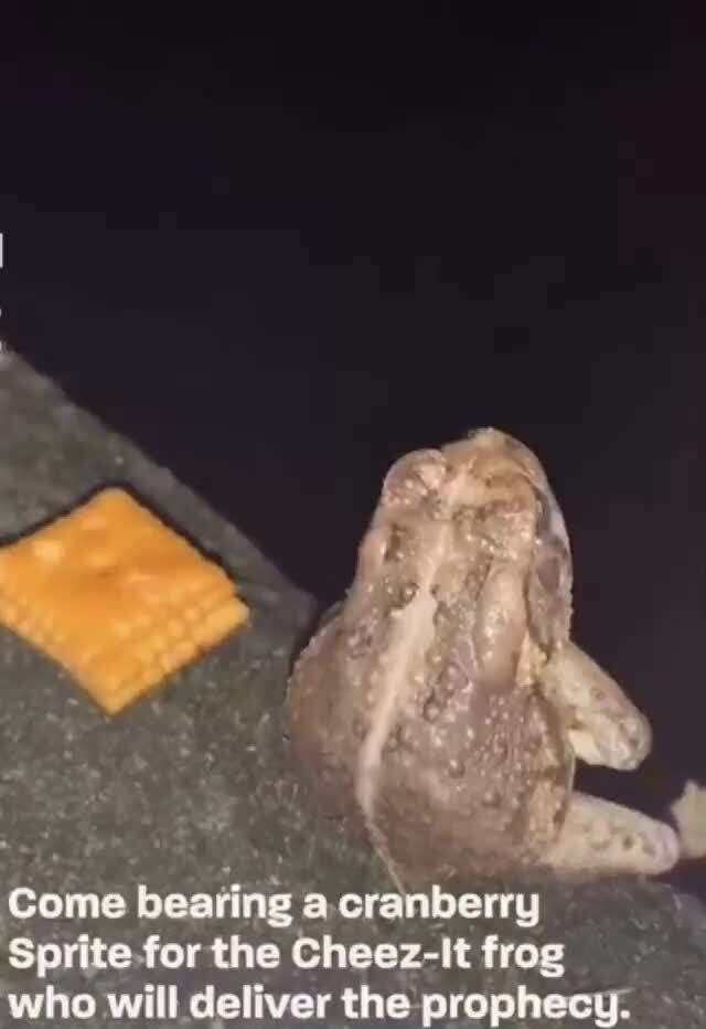 Gome bearing cranberry Sprite for the CheezIt frog iFunny Brazil