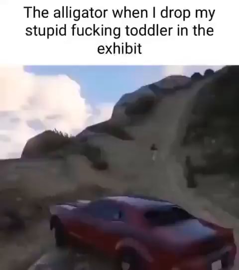 The alligator when I drop my stupid fucking toddler in the exhibit - iFunny