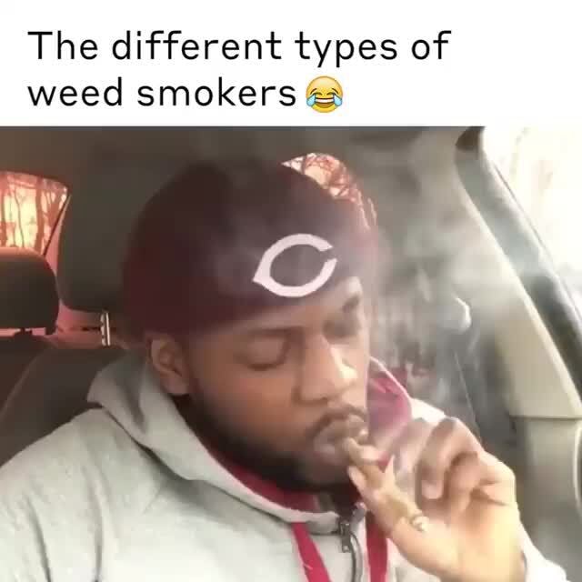 The different types of weed smokers - iFunny