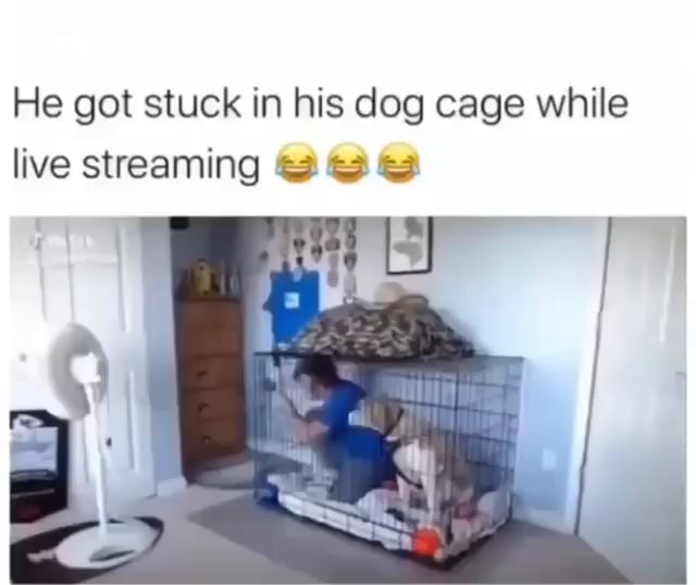 He got stuck in his dog cage while live streaming - iFunny