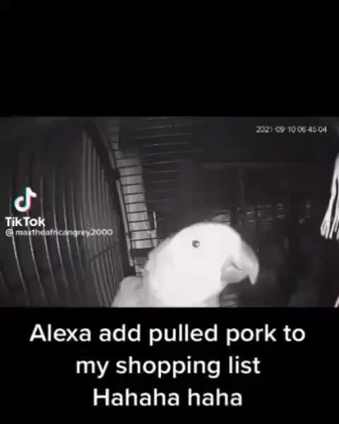 Parrot Asks Alexa To Add Pulled Pork Alexa add pulled pork to my shopping list Hahaha haha - iFunny