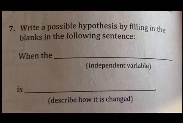 describe hypothesis in a sentence