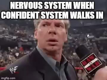 NERVOUS SYSTEM WHEN CONFIDENT SYSTEM WALKS IN - iFunny