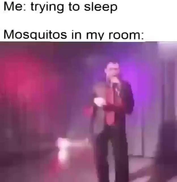 Me trying to sleep Mosquitoes in my room iFunny