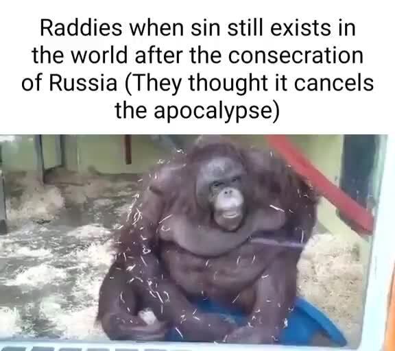Raddies When Sin Still Exists In The World After The Consecration Of 