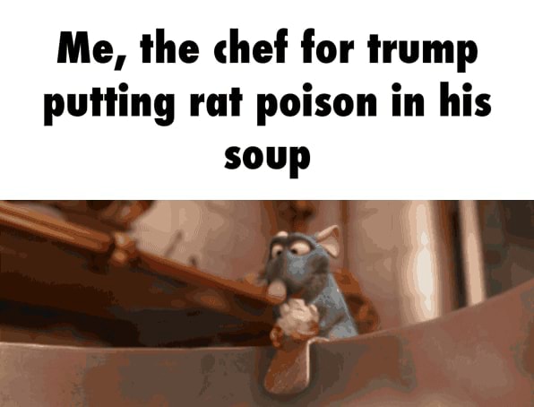 Me, the chef for trump putting rat poison in his - iFunny