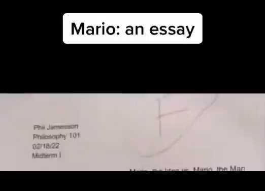 the funny mario essay