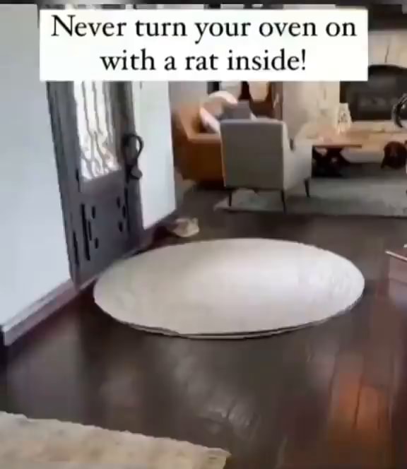 Never turn your oven on with a rat inside! iFunny