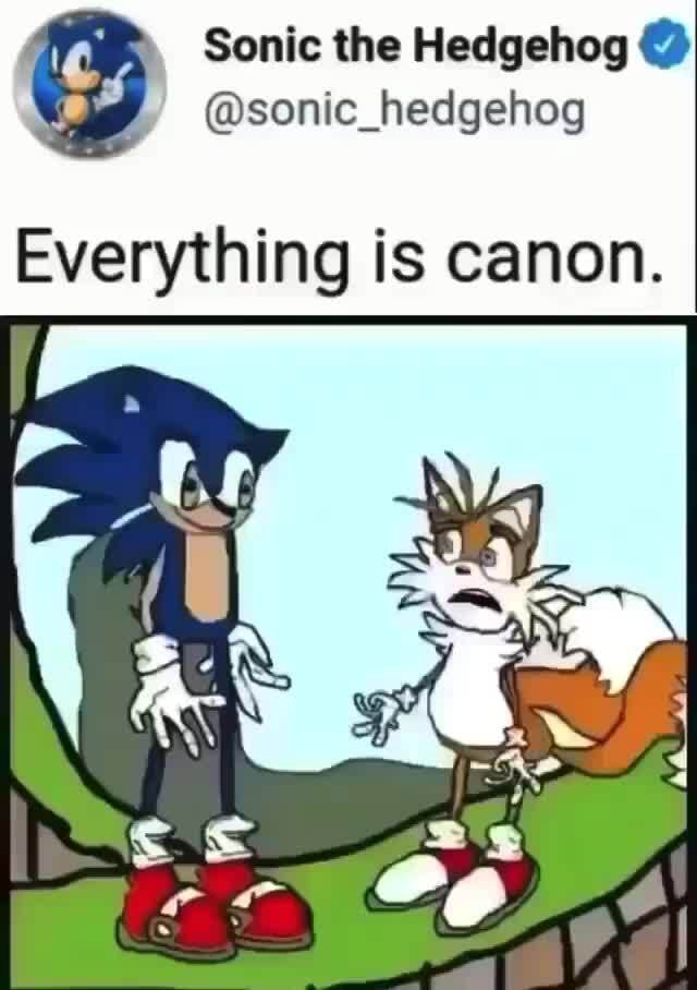 2\ Sonie the @sonic_hedgehog Everything is canon. - iFunny