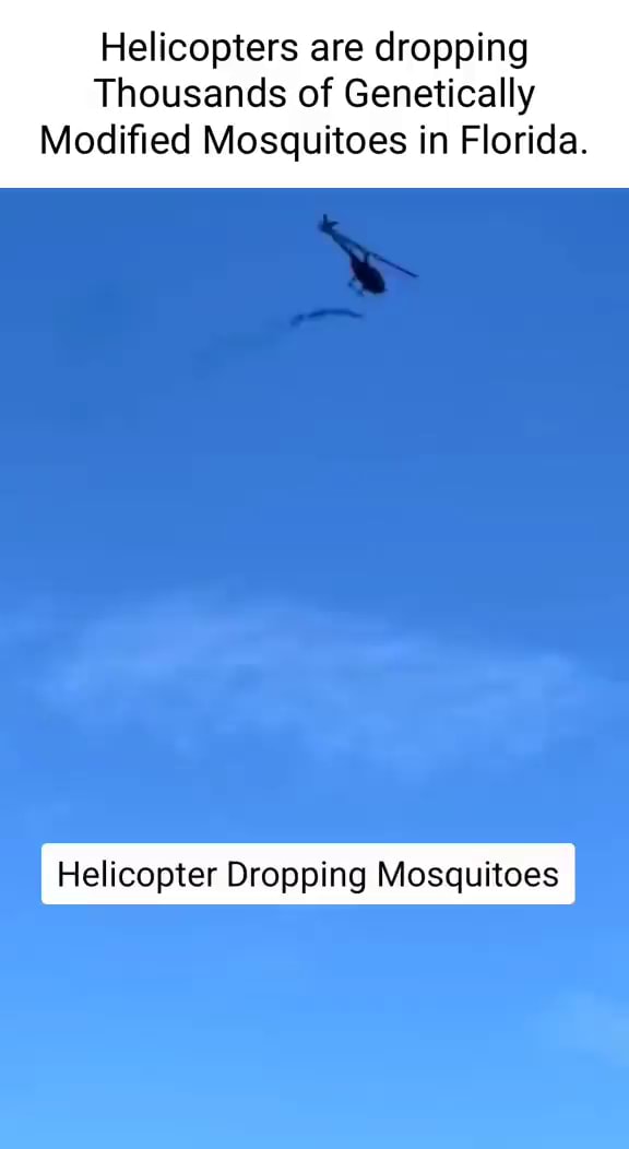 Helicopters are dropping Thousands of Genetically Modified Mosquitoes ...