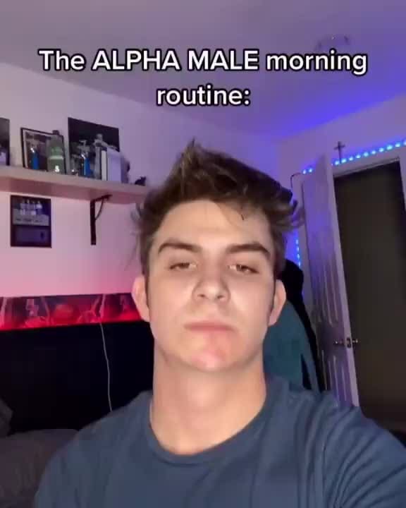 The ALPHA MALE morning routine: - iFunny