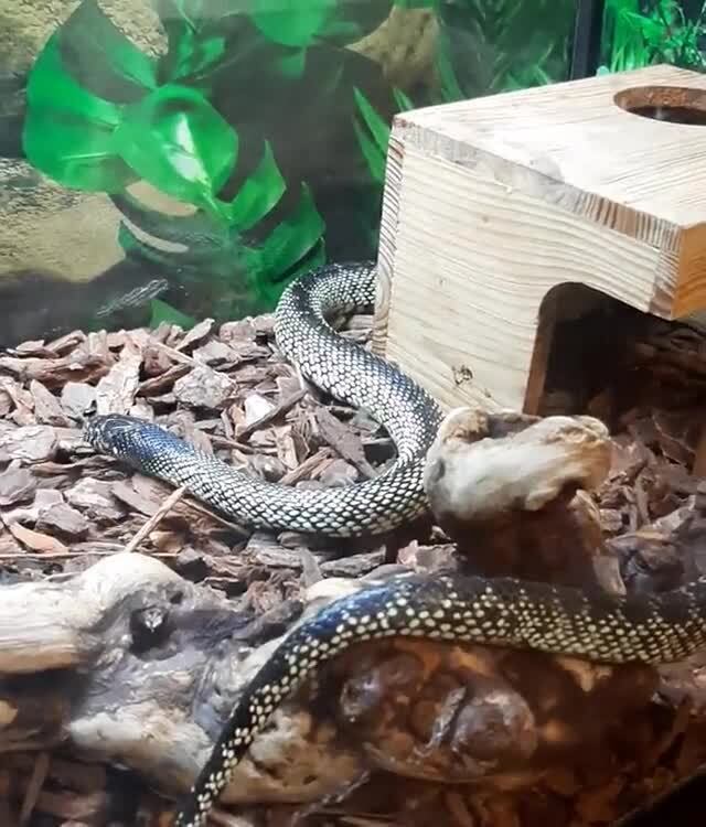 Checking Out His Clean Crib 