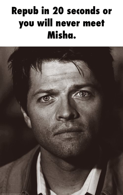 Repub in 20 seconds or you will never meet Misha. - )