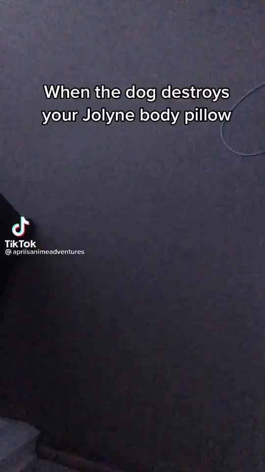 When the dog destroys your, Jolyne body pillow TikTok iFunny