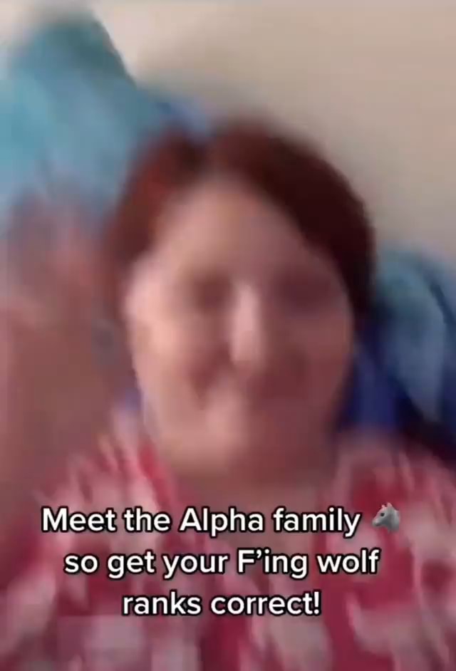 meet-the-alpha-family-so-get-your-ing-wolf-ranks-correct-ifunny