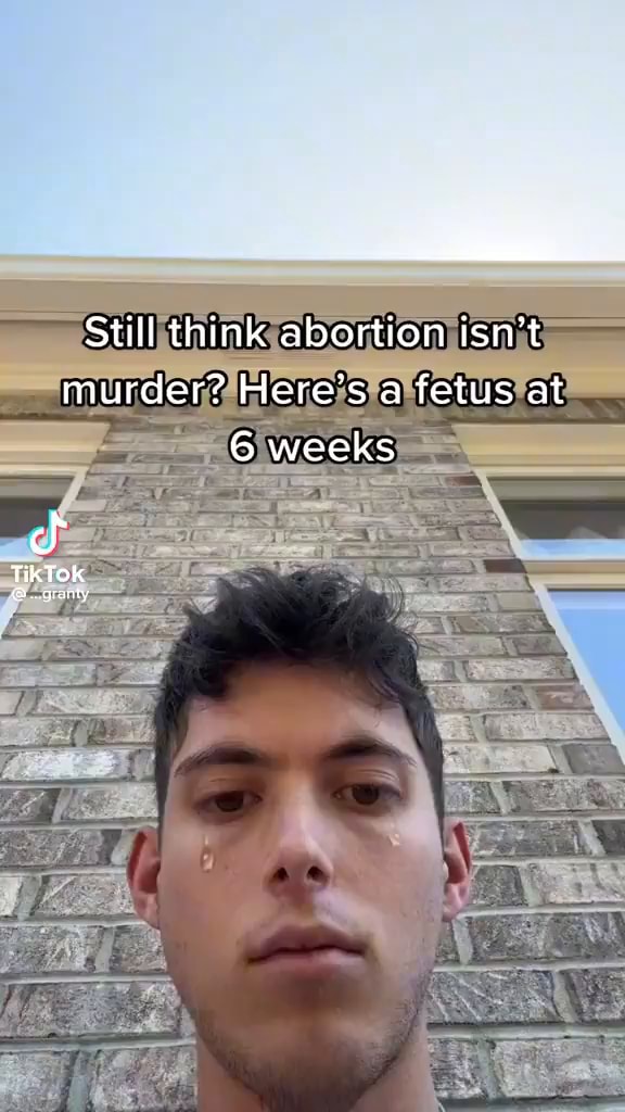 still-think-abartion-isn-t-murder-here-s-a-fetus-at-6-weeks-tiktok