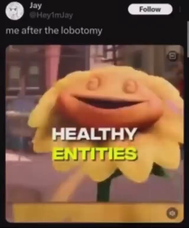 Me after the lobotomy - iFunny