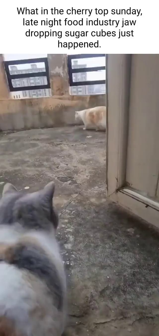 What in the cherry top sunday, late night food industry jaw dropping sugar cubes just happened