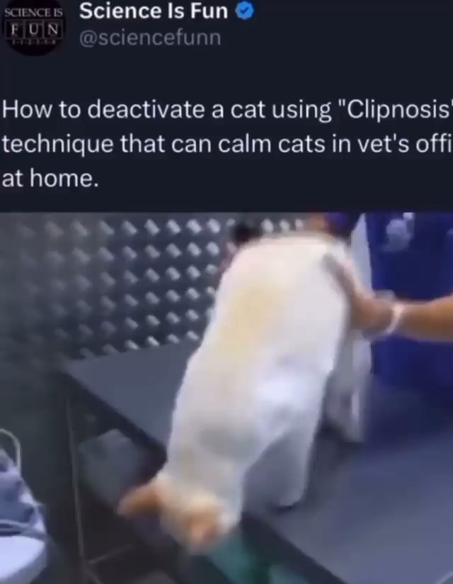 Science Is Fun See Cefun How To Deactivate A Cat Using 