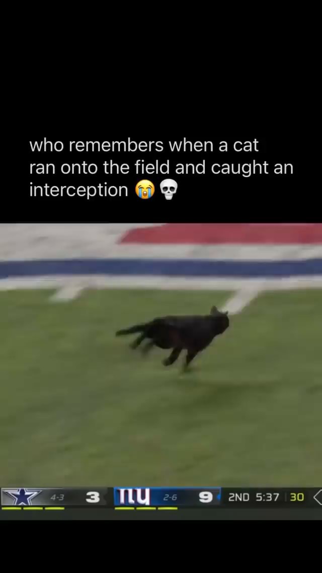 Who remembers when a cat ran onto the field and caught an interception ...