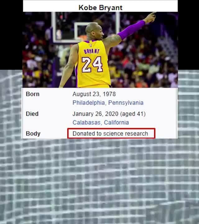 Kobe Bryant Born Died Body iFunny