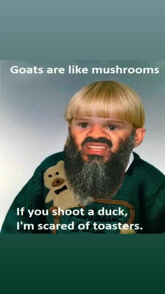 Goats are like mushrooms if you shoot a duck, scared of toasters. iFunny