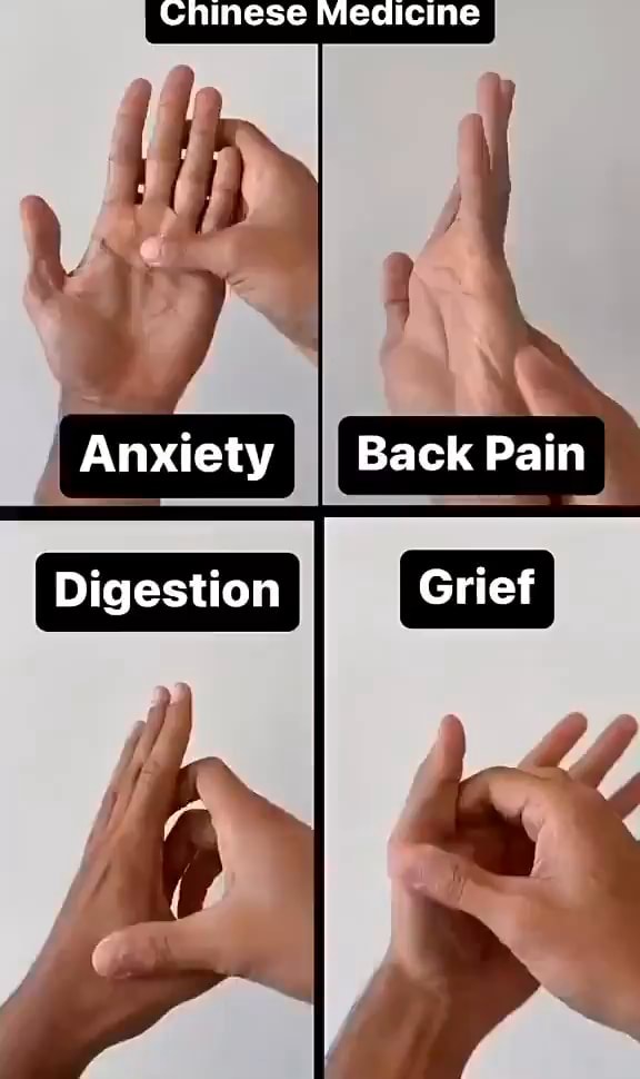 Chinese Medicine Anxiety Back Pain Digestion Grief iFunny