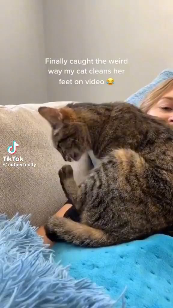 Finally way my cat > feet on wide aulperiocthy \ iFunny