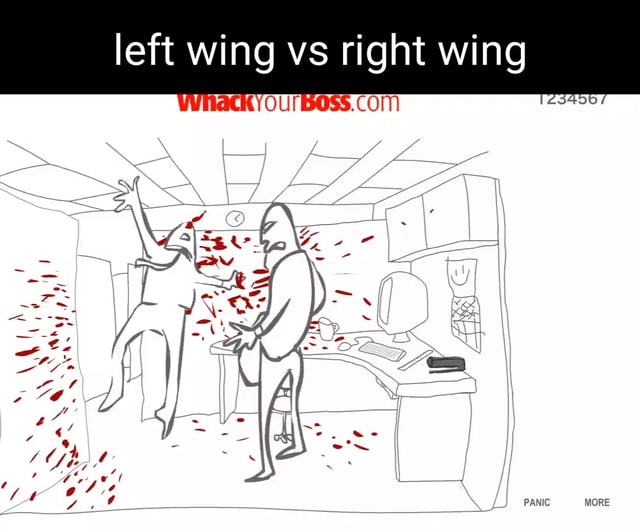 Left wing vs right wing COM PANIC MORE iFunny