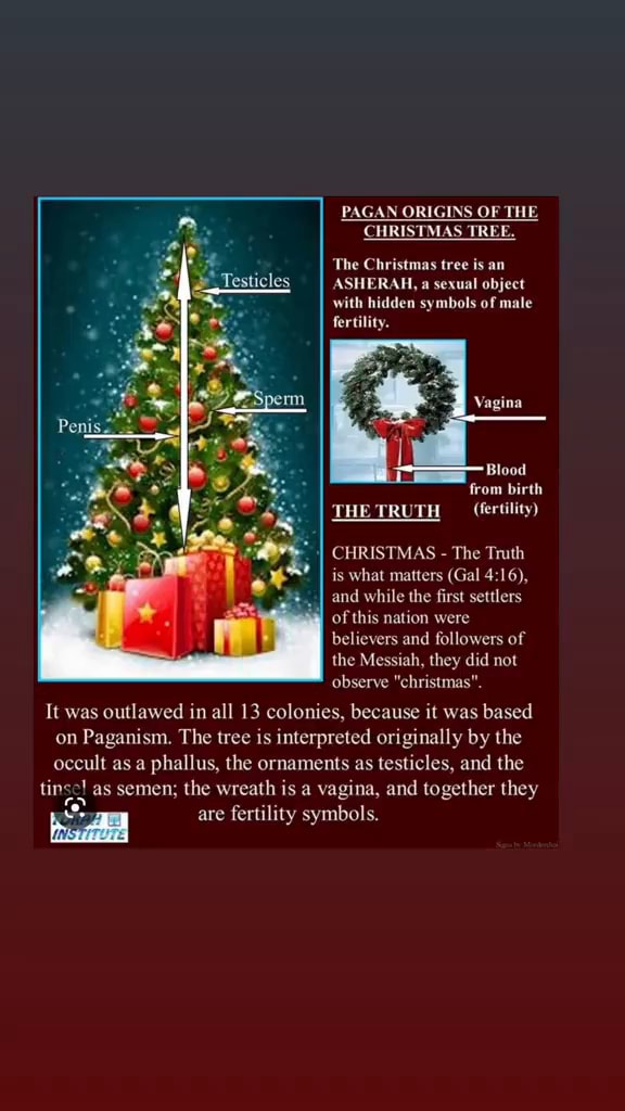 PAGAN ORIGINS OF 'The Christmas tree is an SSH ERA a sexual object with