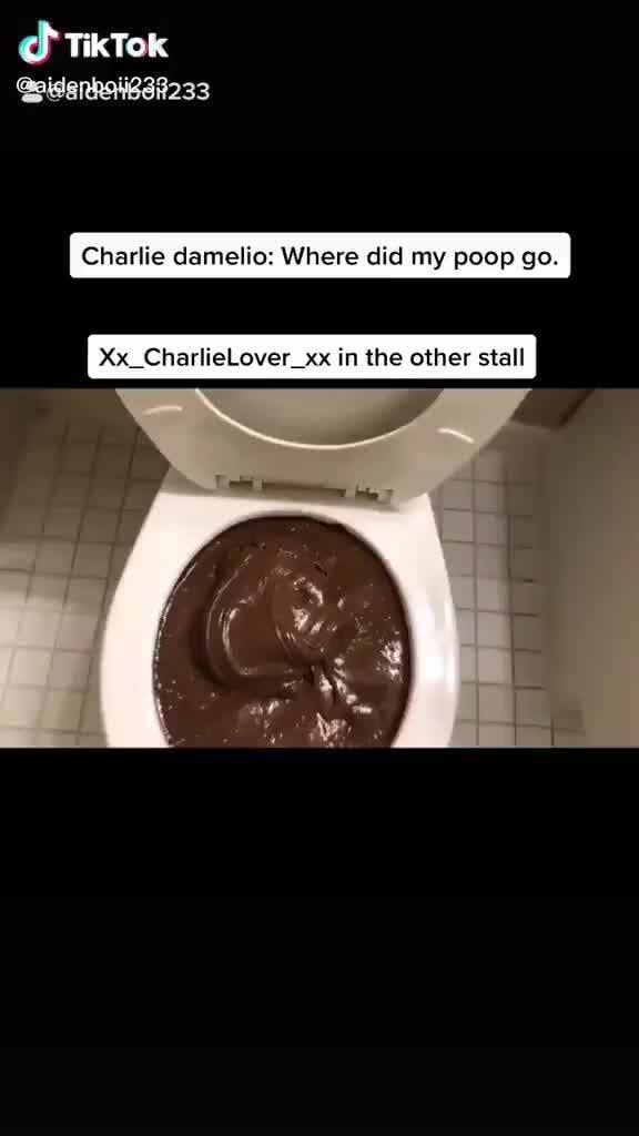TikTok Charlie damelio Where did my poop go. Xx Charhelover xx in the