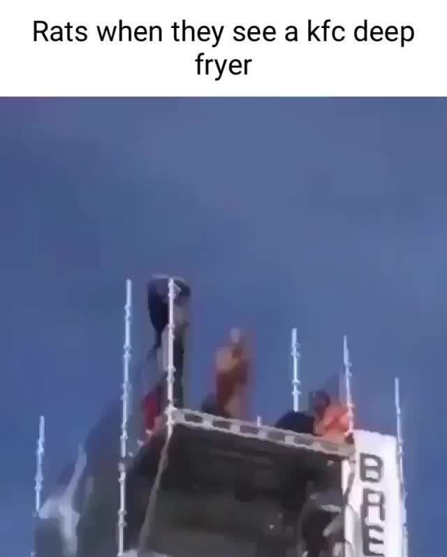 Rats when they see a kfc deep fryer iFunny