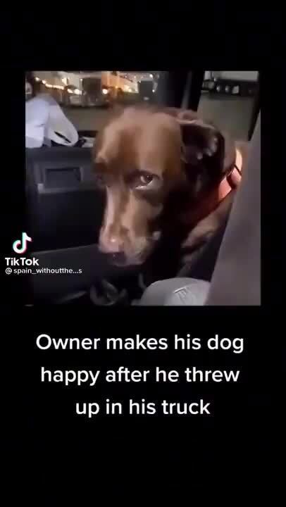 TikTok Owner makes his dog happy after he threw up in his truck - iFunny