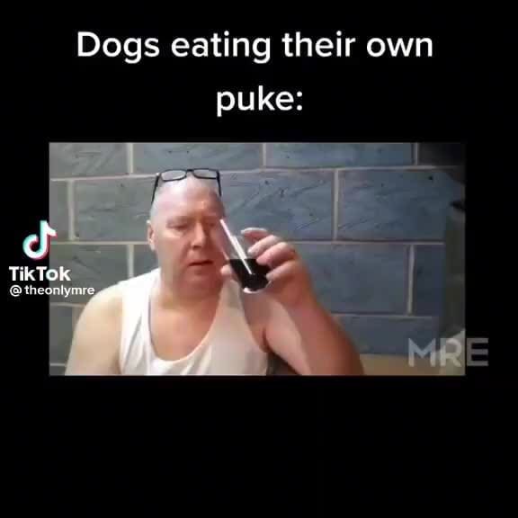 Dogs eating their own puke iFunny