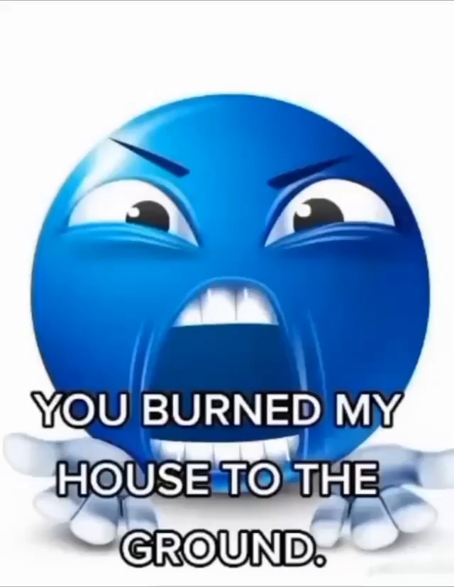 YOlL, BURNED MY HOUSE TO THE GROUND: - iFunny