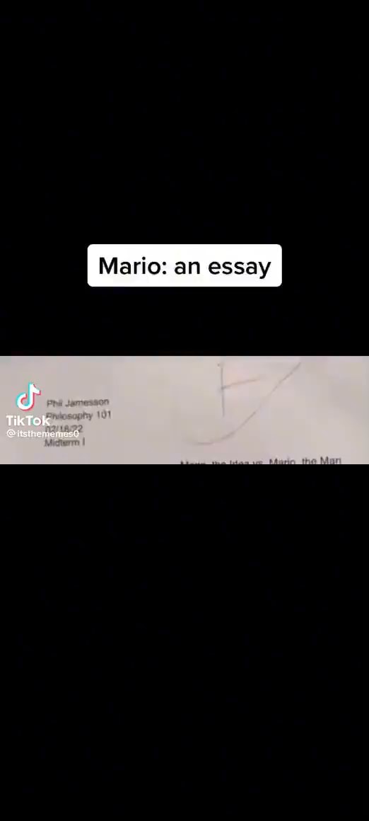 the funny mario essay