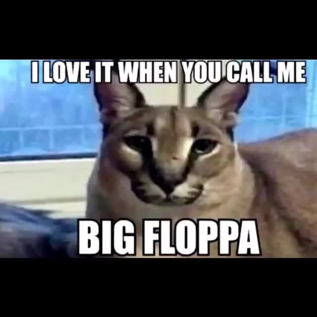 big floppa is calling on Make a GIF