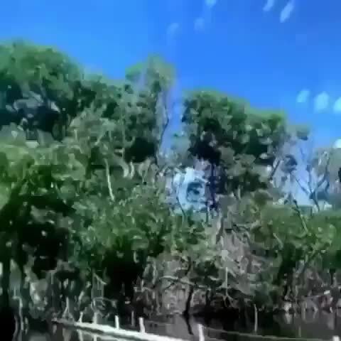 Instagram post by You’ve Gone Incognit - iFunny