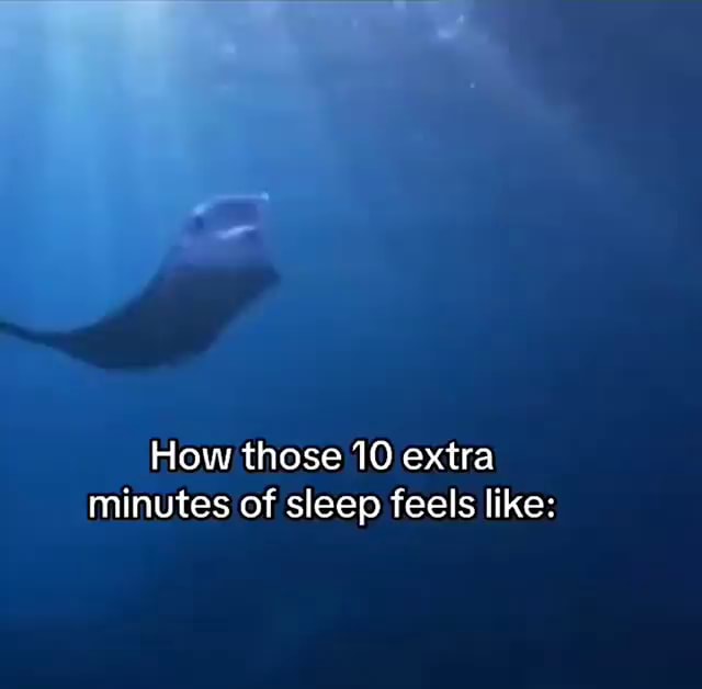 how-those-10-extra-minutes-of-sleep-feels-like-ifunny