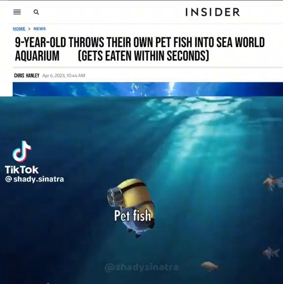 INSIDER 9YEAROLD THROWS THEIR OWN PET FISH INTO SEA WORLD AQUARIUM