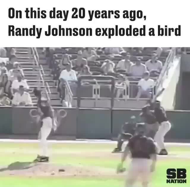 On this day 20 years ago, Randy Johnson exploded bird - iFunny